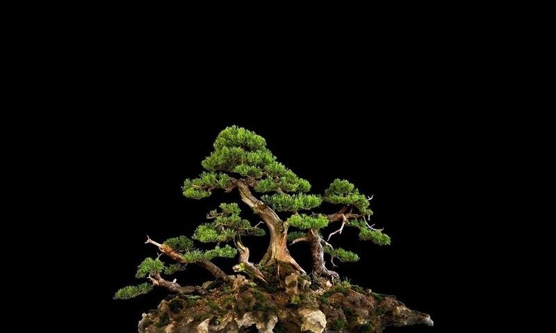 БИСЕР КАПЕЛЬ