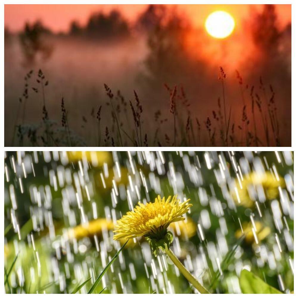 КАПЛИ СЧАСТЬЯ  - 2 /без буквы "Р"/