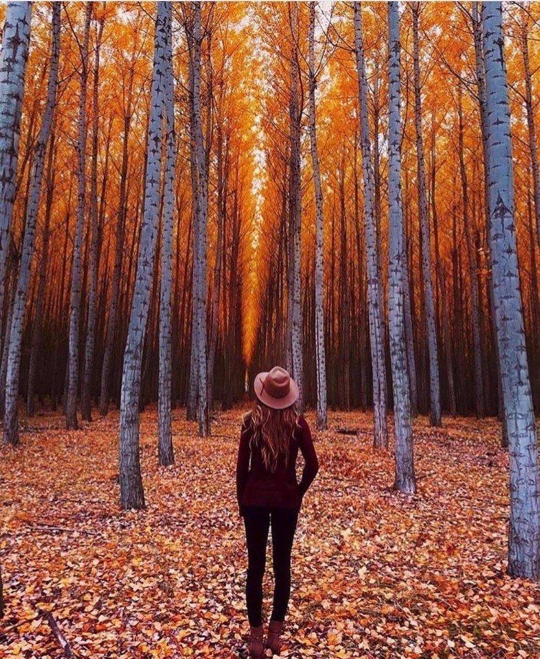 "Она любила осень..." (20.06.2018)