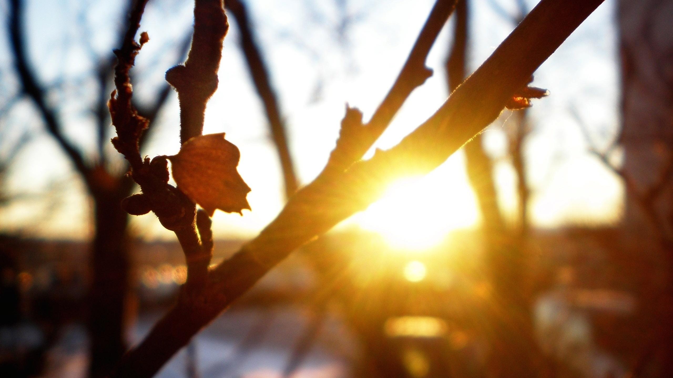 Осталось за немногим...