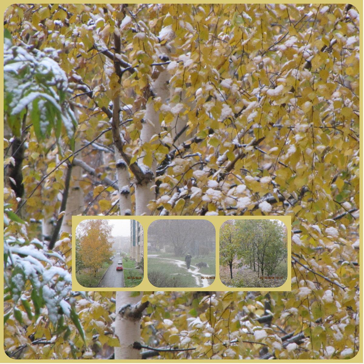 НЕЖДАНЧИКИ (2)…