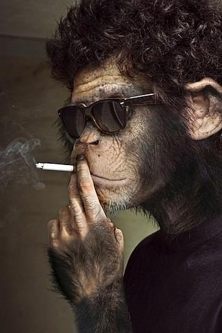 Обезьяна в юбке