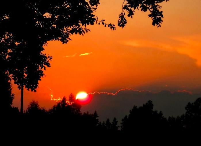 ДЕНЬ ... И  ПОЛНОЧЬ ?..