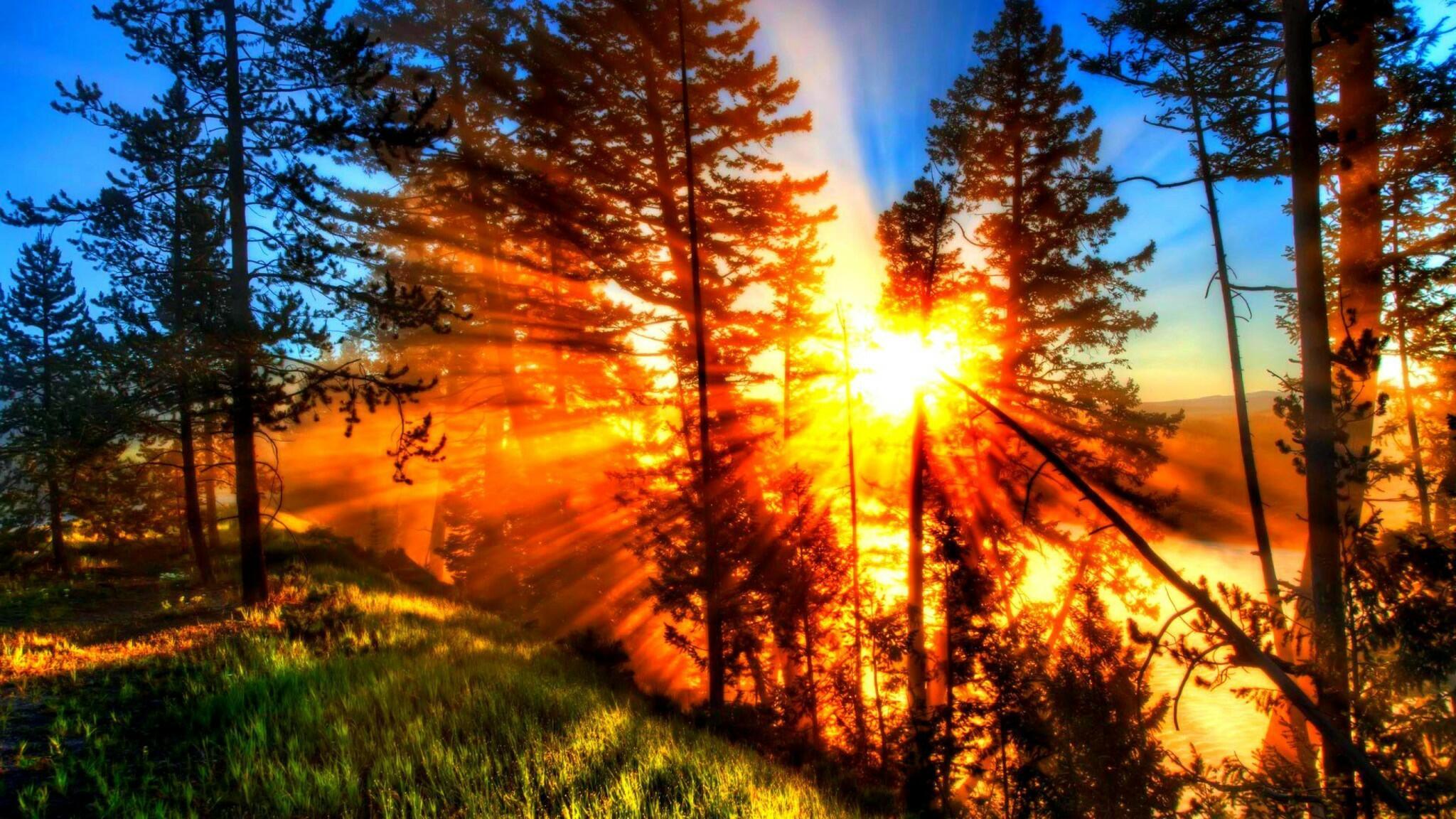 Ответ поэту - Медведь Белый - КАНИТЕЛЬ