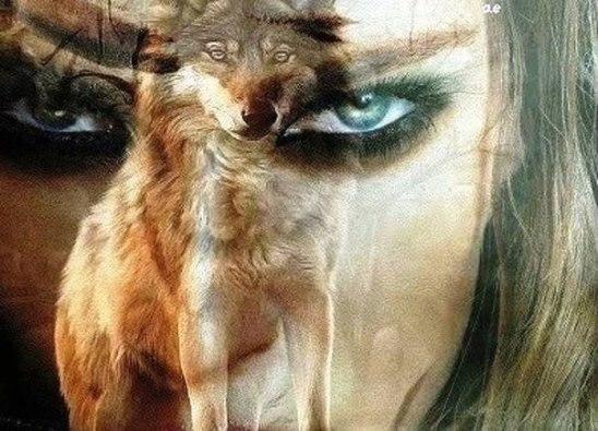 Не топчи  мою волю