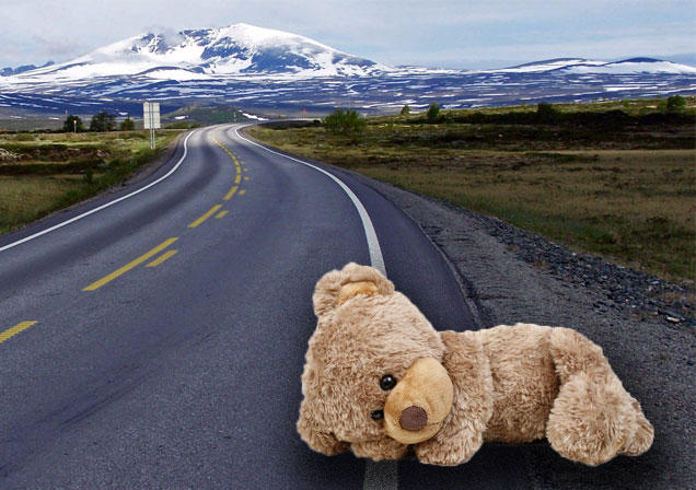 Себя жалею я