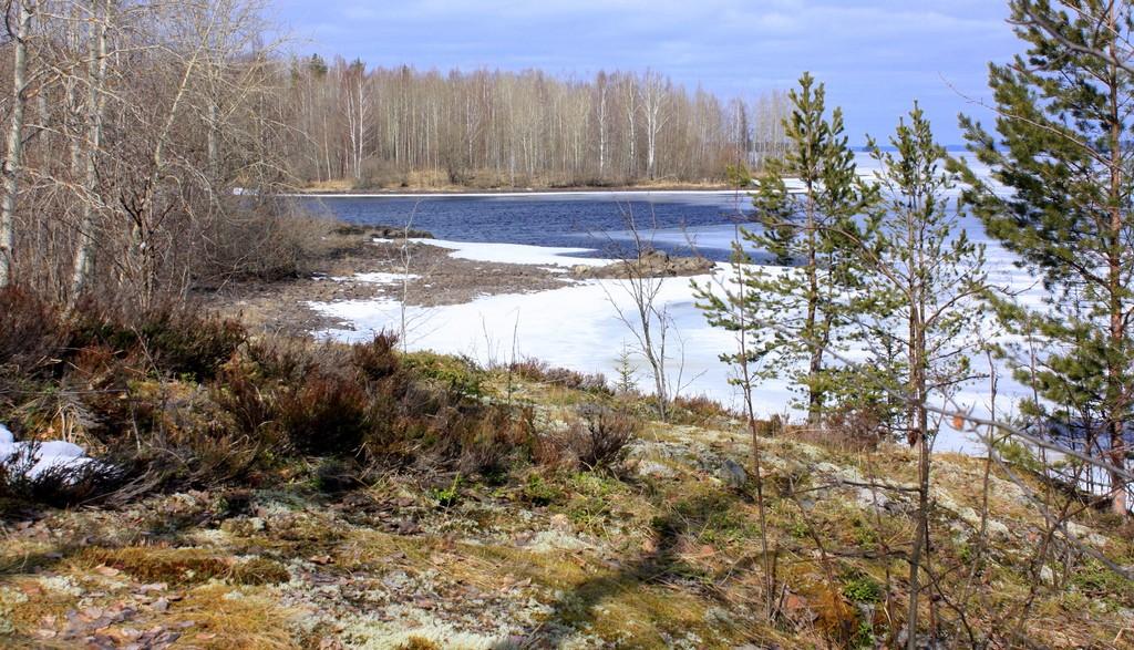 Соло для кларнета