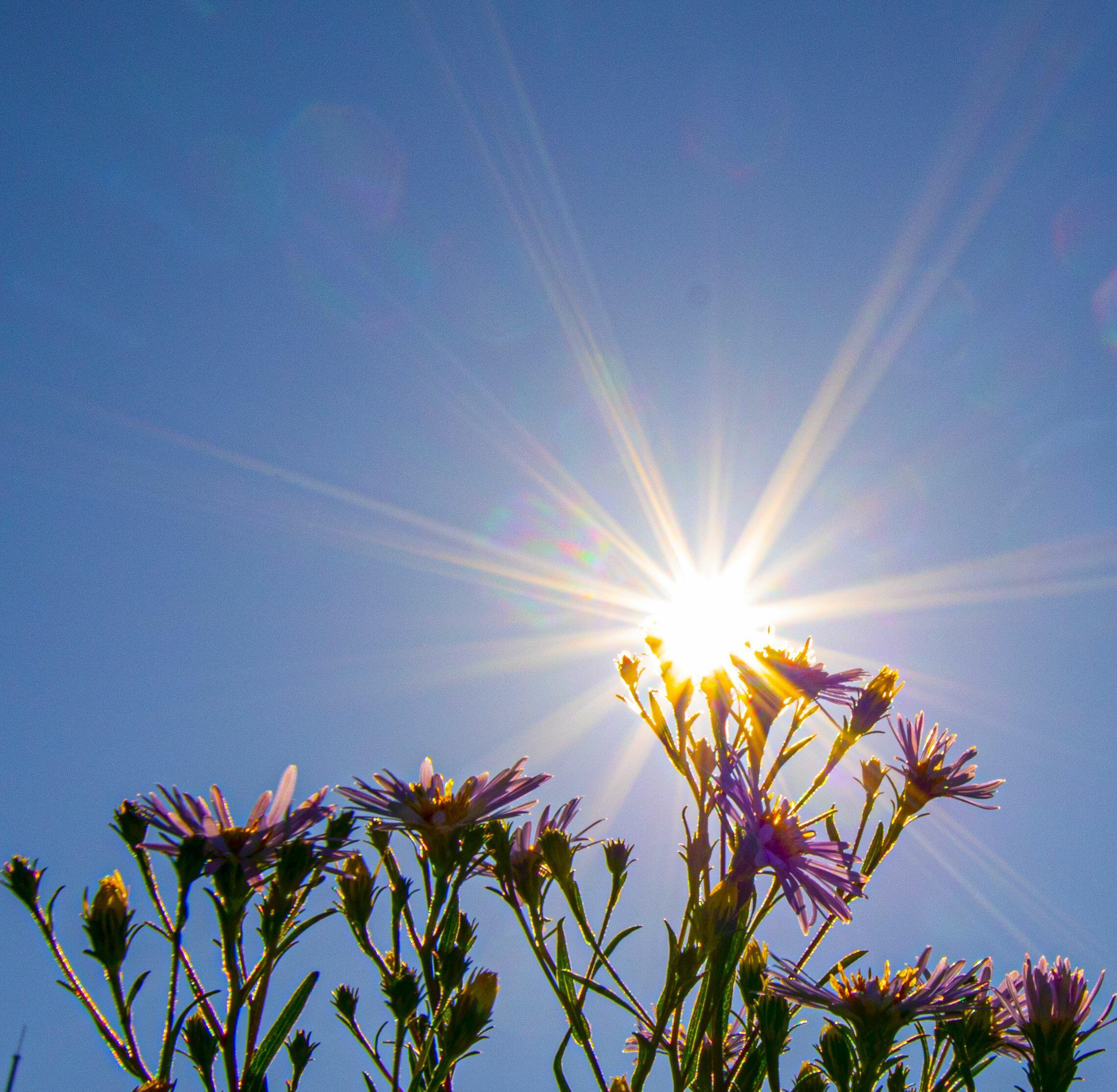 СОЛНЦЕ И ЗЕМЛЯ, И ВЕСНА. АКРОСТИХИ