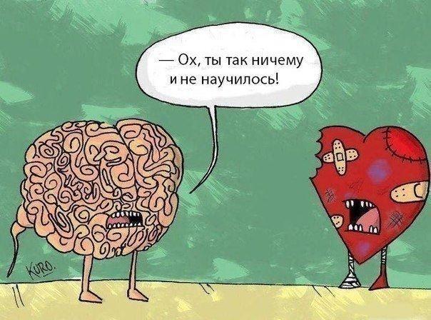 На злобу дня