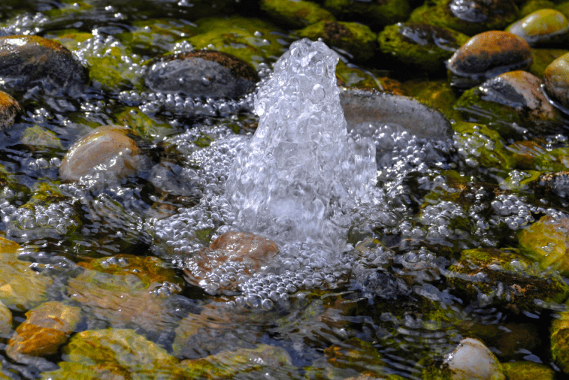 Родник жизни