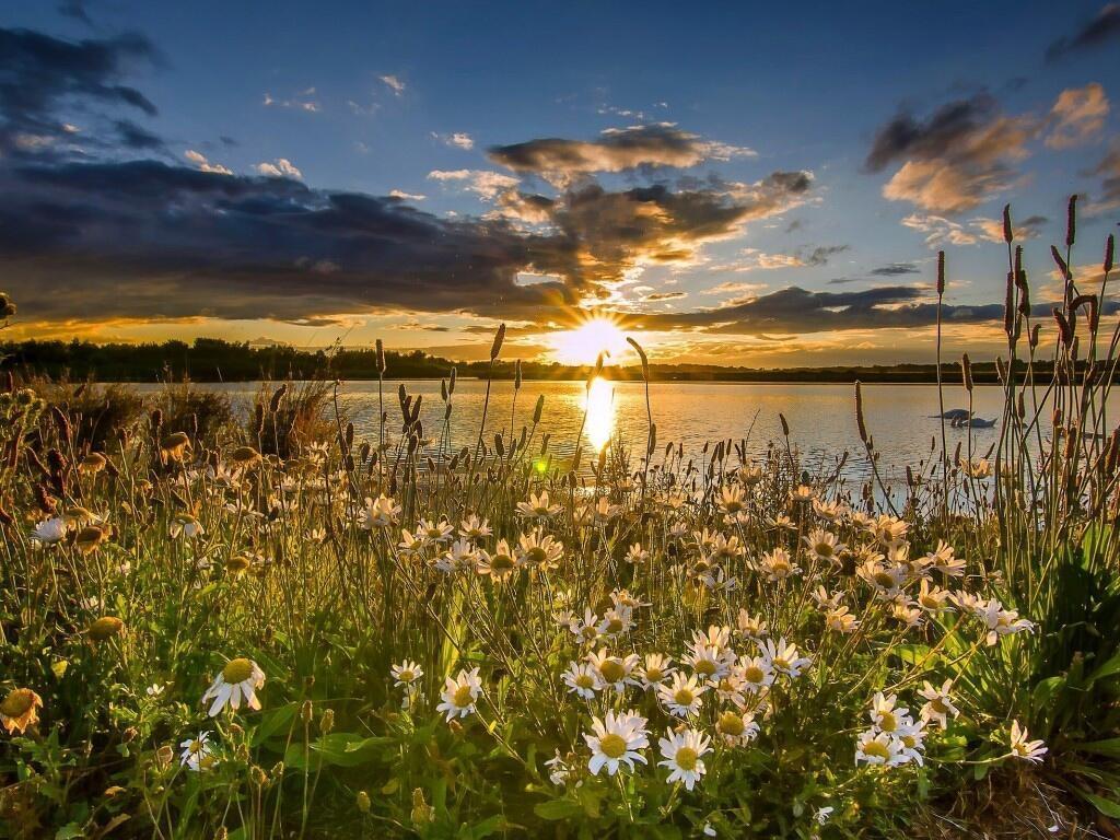 "На рассвете медном..." (18.05.2021)