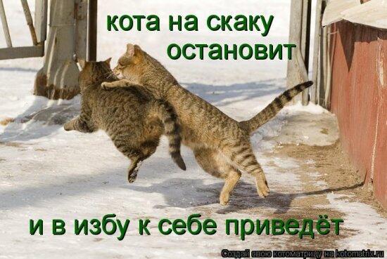 Мур-мур-мур