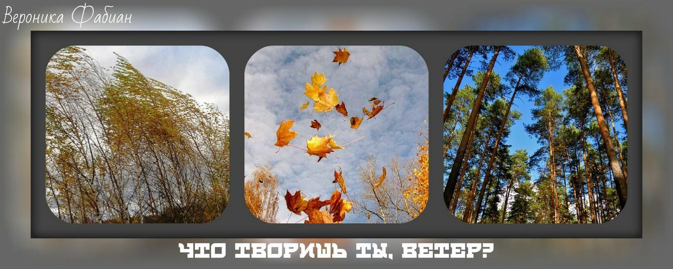 Что творишь ты, ветер?