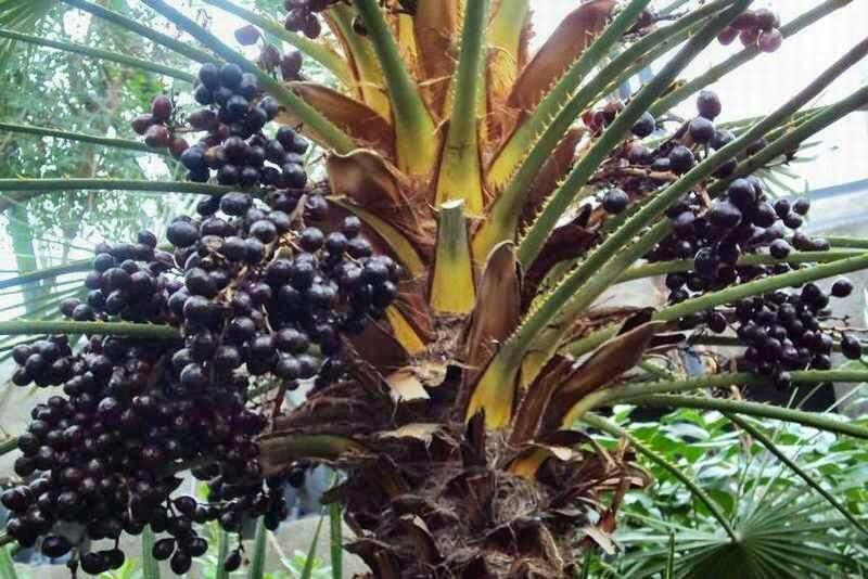 как удивительная наша планета