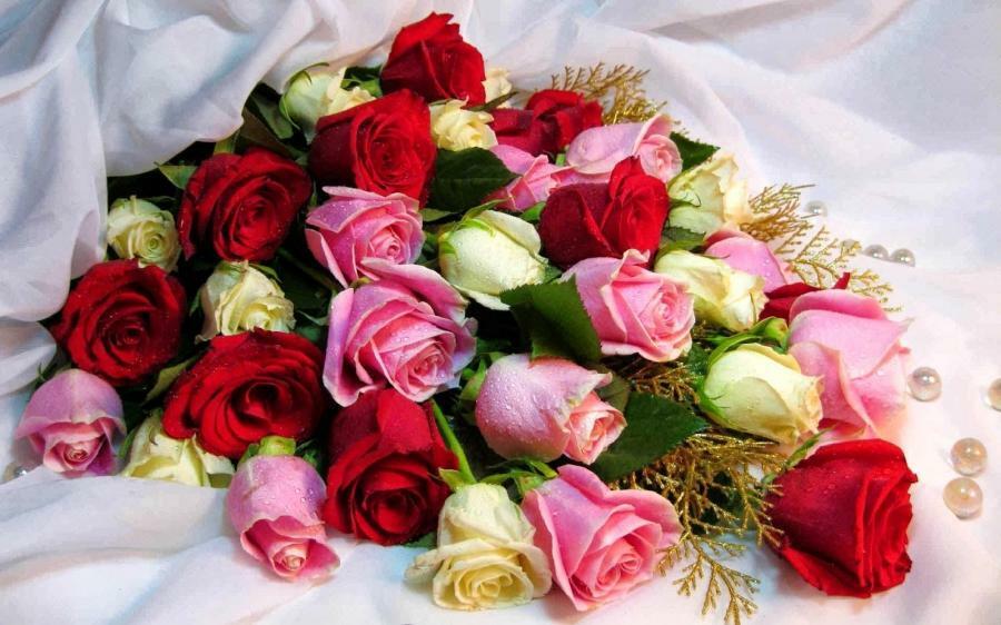 Стих-е. Моей подруге Лидьи Б.....