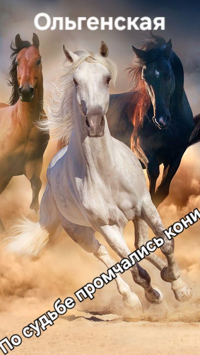По судьбе промчались кони