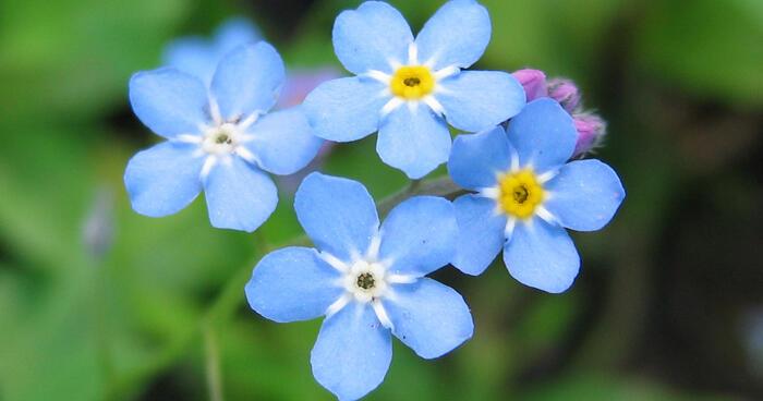 Без солнца.