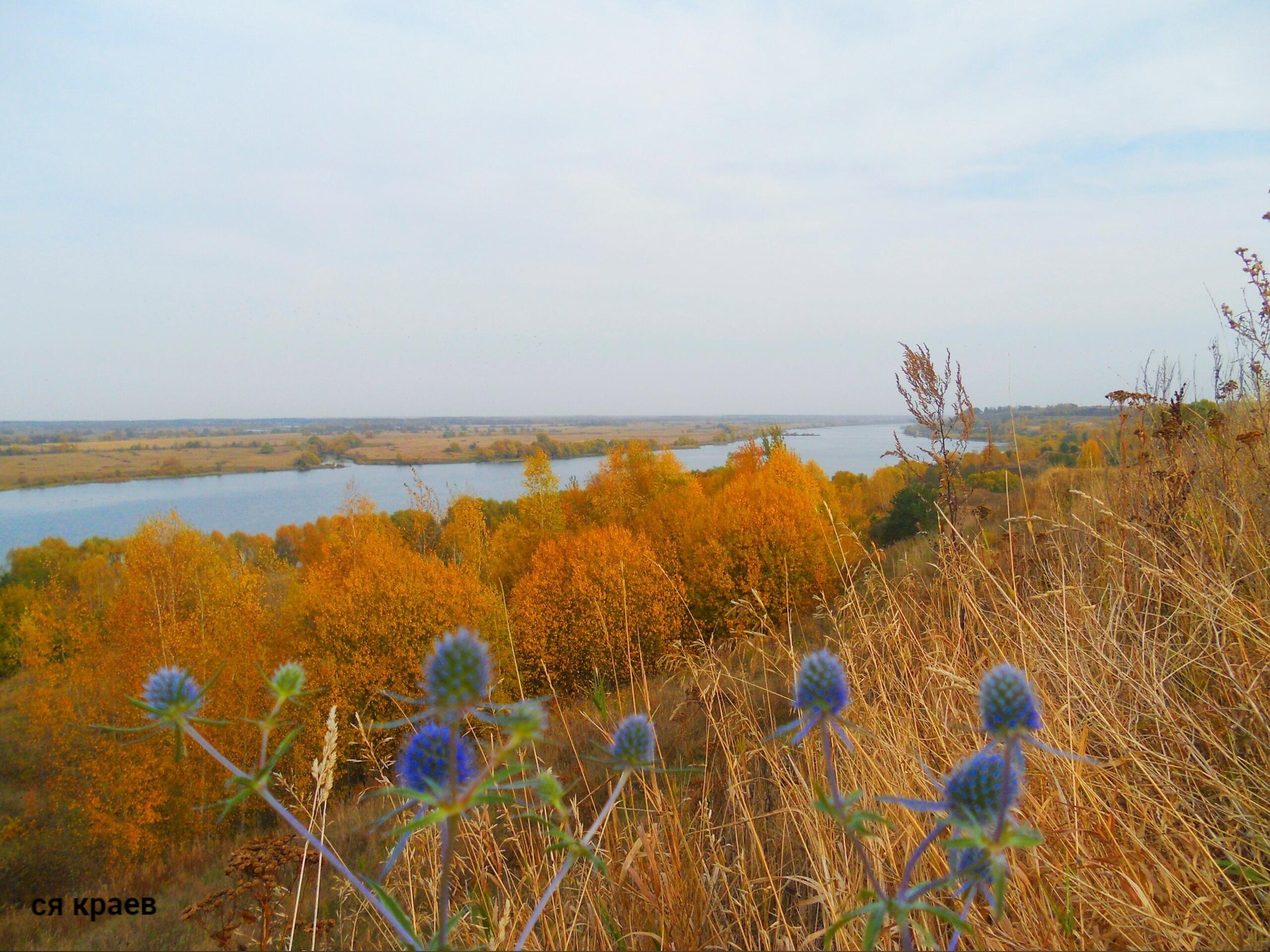 Листья падают, листья падают… ( С. Есенин )