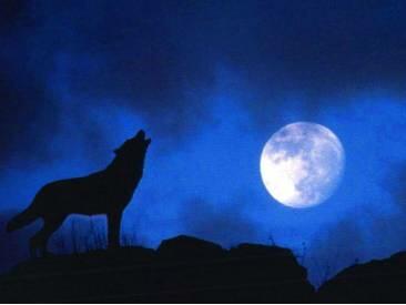 КАК НА ЗОНЕ