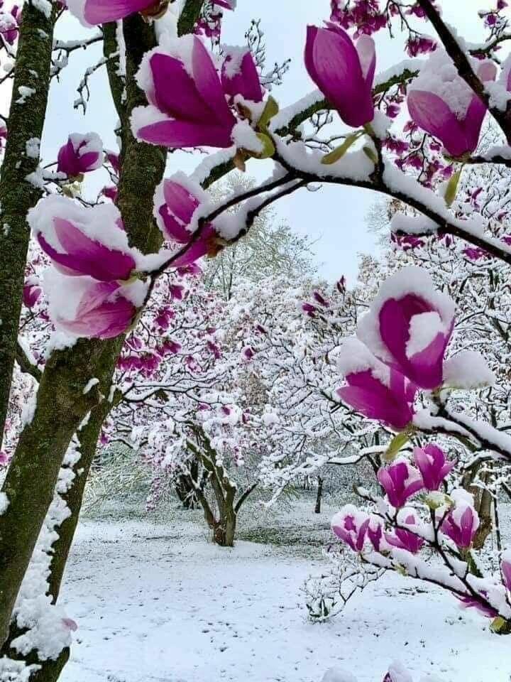Ключи от ясных тёплых дней