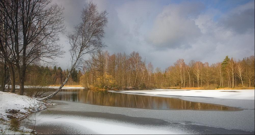 Фото ноябрь месяц. Конец ноября природа. Конец осени ноябрь. Ноябрь месяц природа. Конец ноября фото.