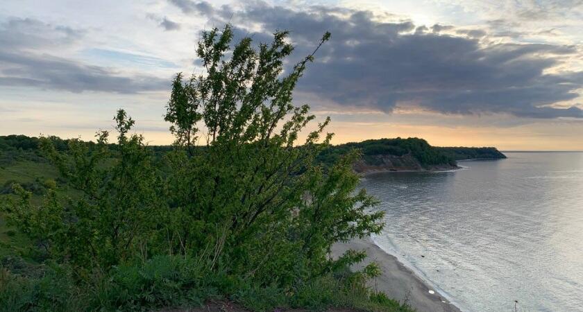 Завершился мой май