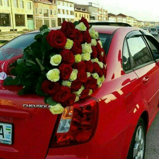 «Осенний ветер»