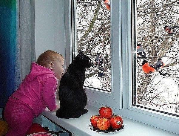 Смотрю в окошко...