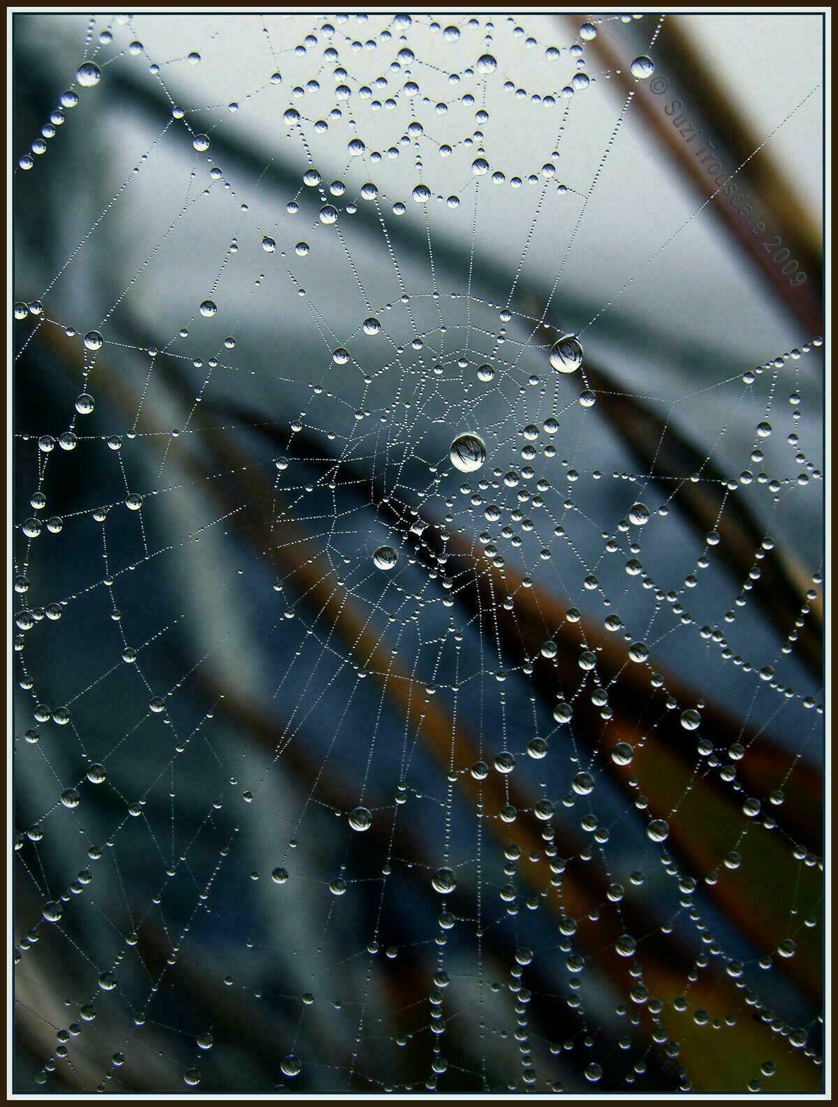 Смотрит небо пустыми глазницами...