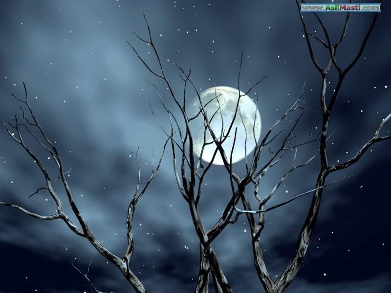 Бренность Бытия