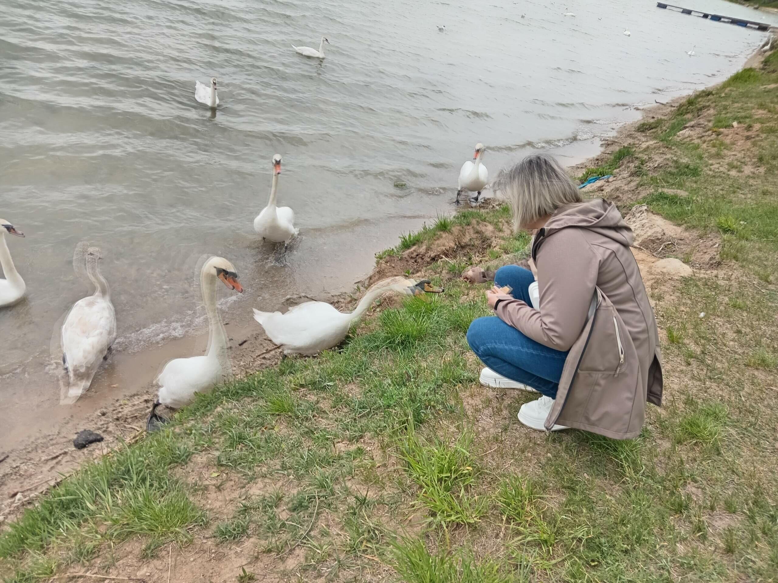 Размышление