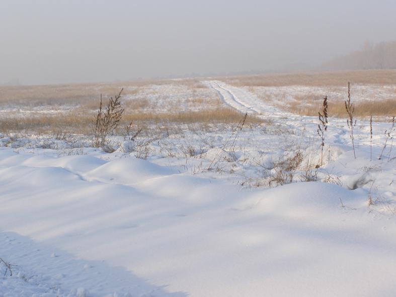 В России (А.Ладыгин)