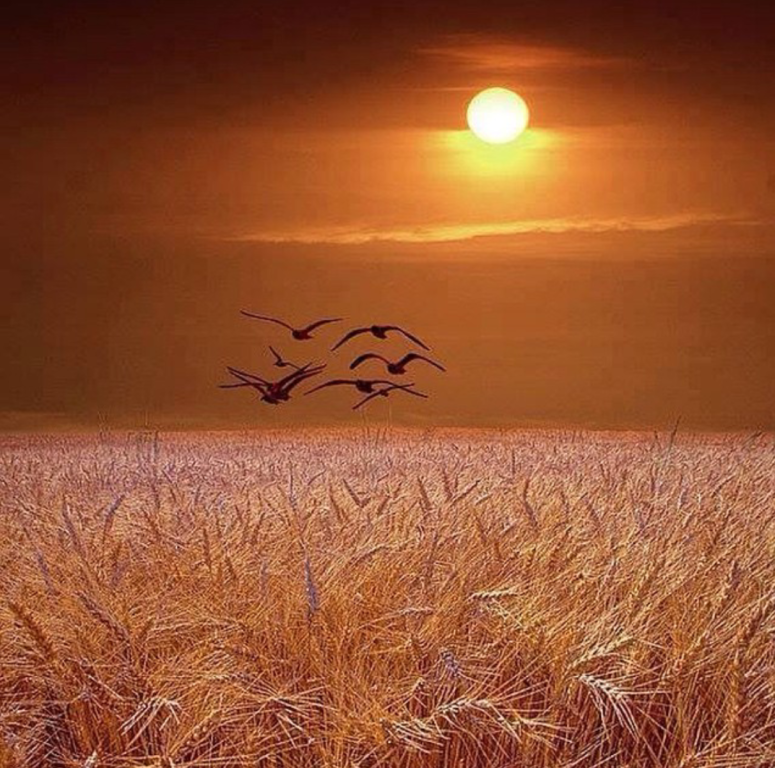 Прячешь руки за'спину...