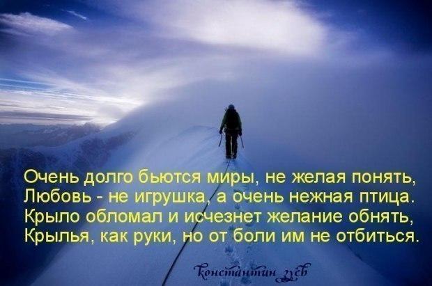 СОН ОДИНОКОЙ ПТИЦЫ...