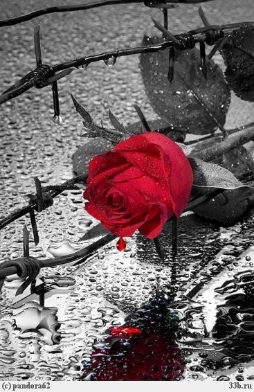 Я писал про ЛюбоFF баллады!