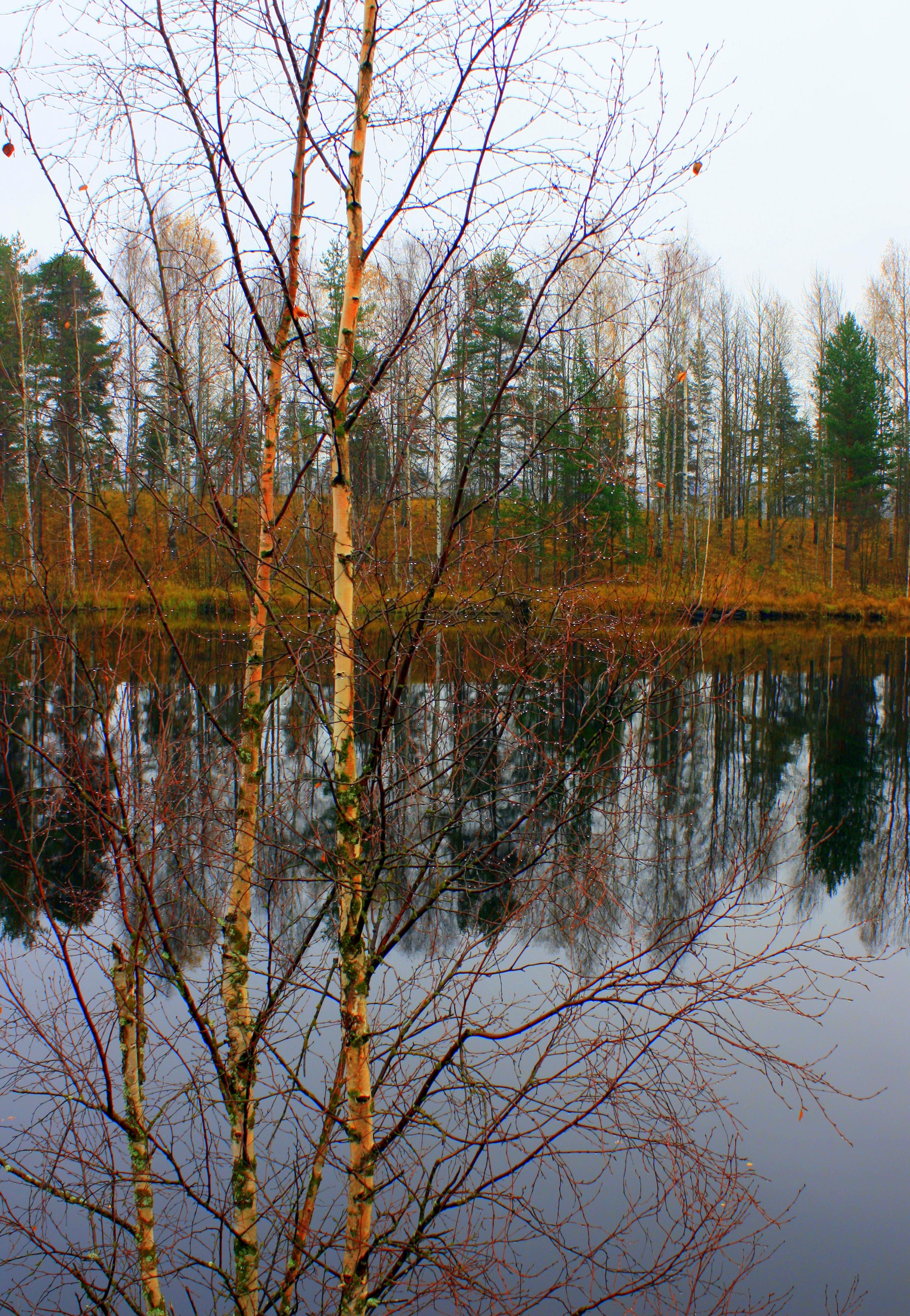 Мой догорающий октябрь