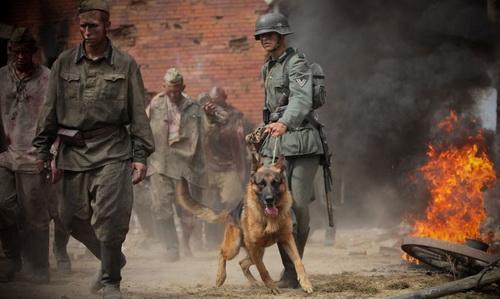 БЕЗЫМЯННЫЕ  СОЛДАТЫ ...