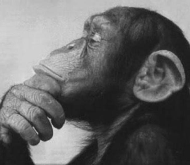 НЕ СКРОЮ (валик)