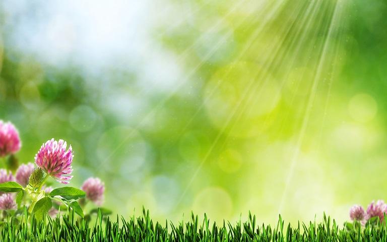 Забрезжило утро лучами