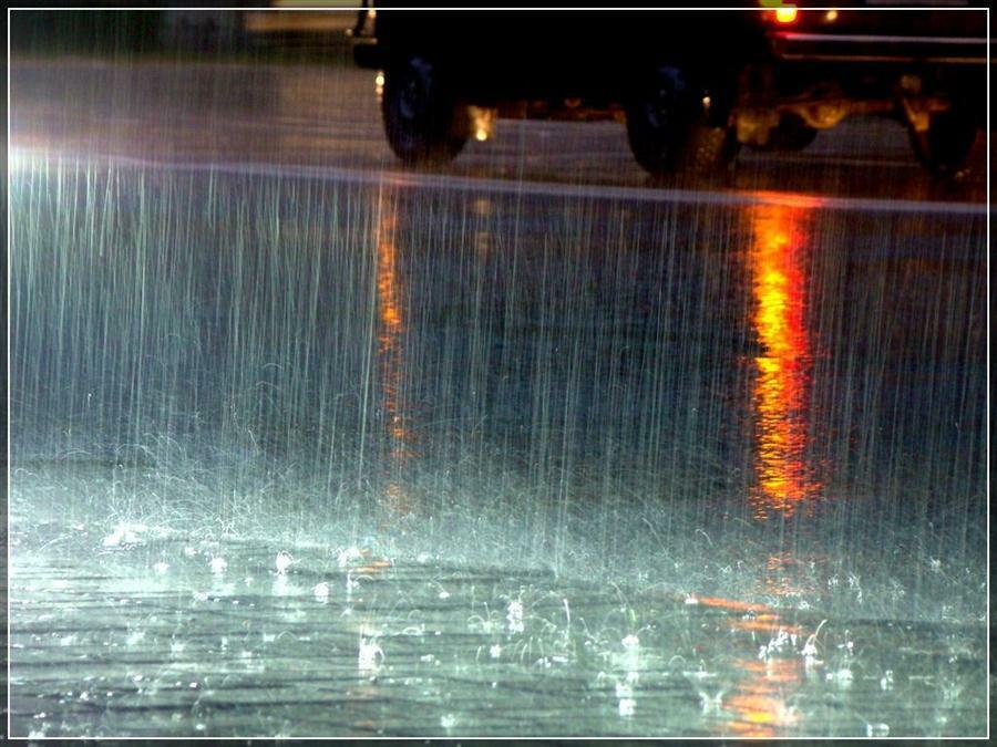 ❤️  Л И В Е Н Ь 