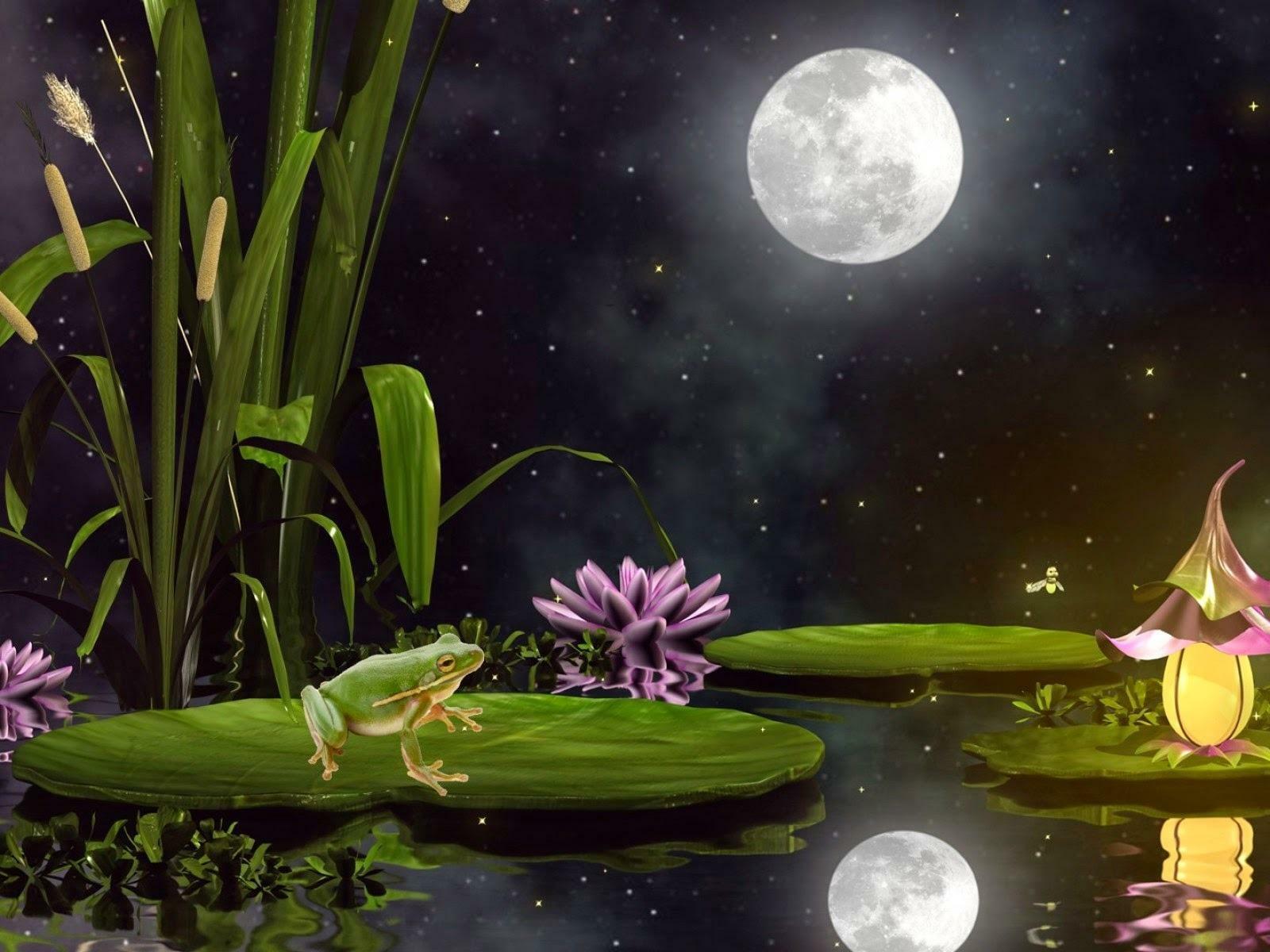 Лягушкой луна распласталась на тихой воде. Сказочные цветы. Волшебная кувшинка. Волшебной летней ночи. Сказочное озеро с кувшинками.