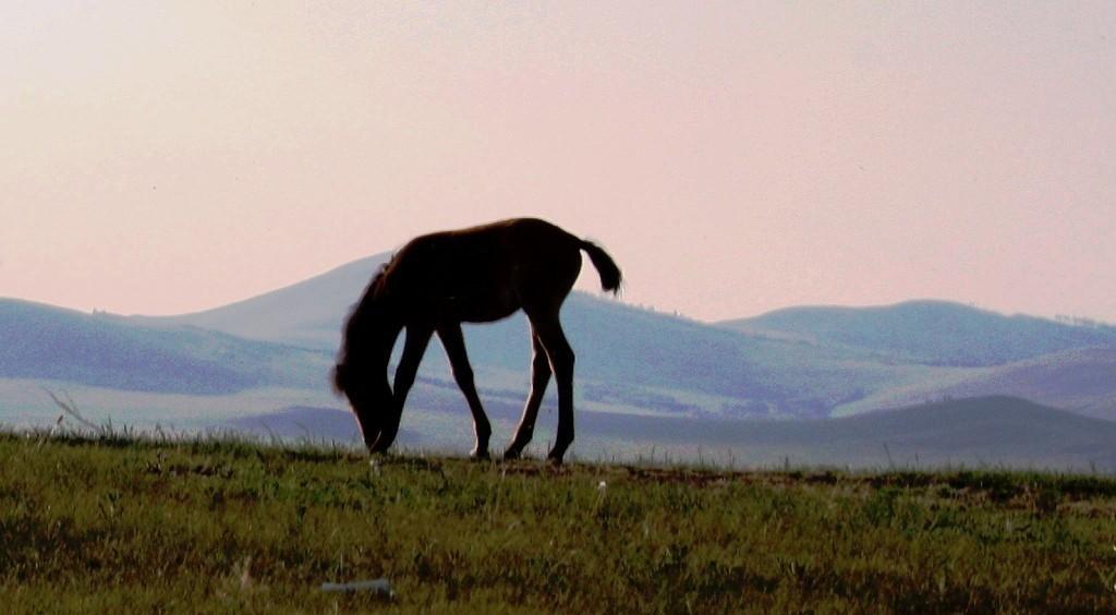 УЧИТЕЛЬ  МОЛОДОЙ