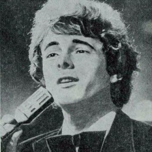 Малиновый звон - Гнатюк Николай (я пою)