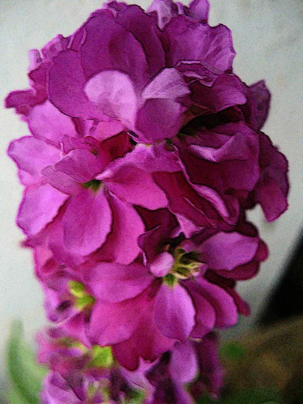 А солнце в мае ласково смеется