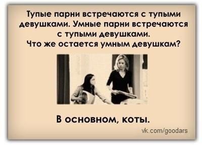 Сола Монова. Кота-Филова