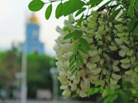 Отличница