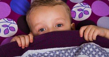 Заинька трусливый