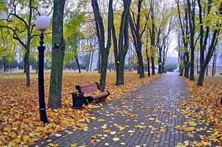 На выходные снова дождь.