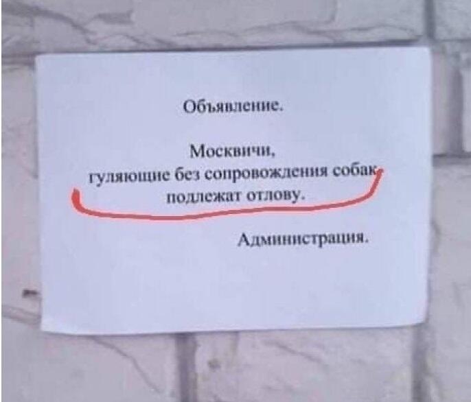 НЕ СПИТСЯ (без мягкого знака :-)