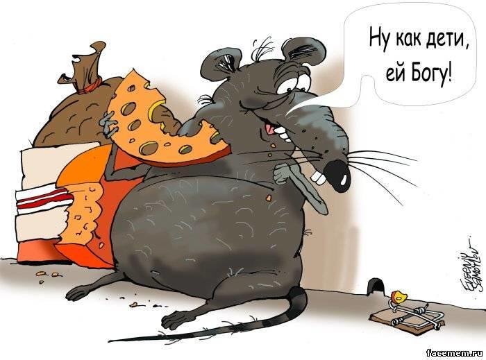 В Новый год без обмана!